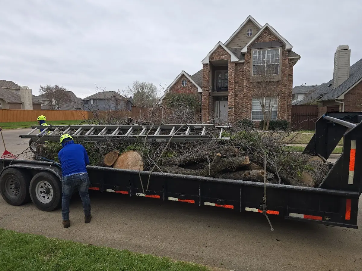 Expert Lot Clearing with proper safety equipment in Somerville